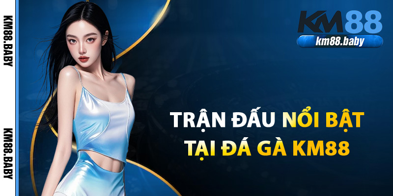 Những trận đấu nổi bật tại đá gà KM88